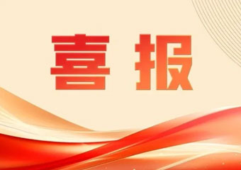 W020260211670052146428