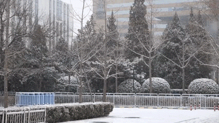 必赢·网络游戏平台-(中国游)有限公司