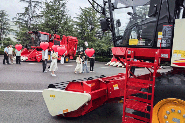 必赢·网络游戏平台-(中国游)有限公司