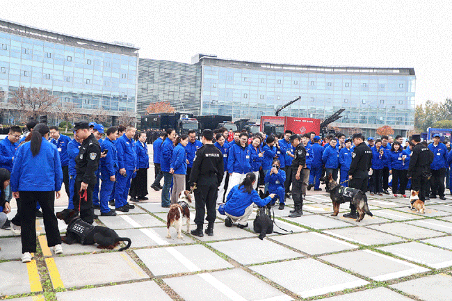 必赢·网络游戏平台-(中国游)有限公司